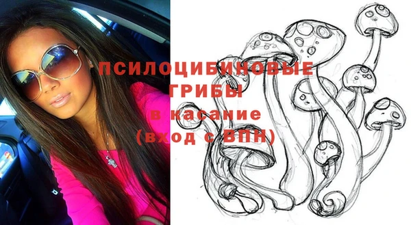 герыч Богородицк